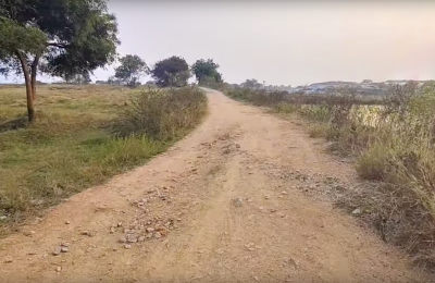 Agriculture Land With Mango Farm Janagon