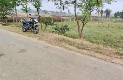 Agriculture Lands for Sale in Peddakothapally