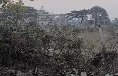 1 Acre 10 gunta Sale in Pargi