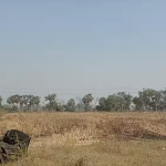 10 acres agriculture land for sale near suryapet