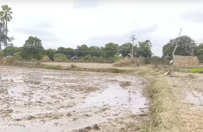 5 Acre Agriculture Land for Sale In Siddipet