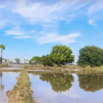 1 Acre 10 Gunta Agriculture Land for Sale In Siddipet