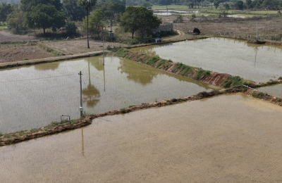 Agriculture Lands for Sale Near Vangapally