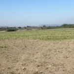 10 Acre's 26 Guntas Land For Sale IN kumuram bheem asifabad district