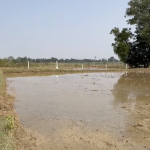 22 Guntas Agriculture land for sale at Medak