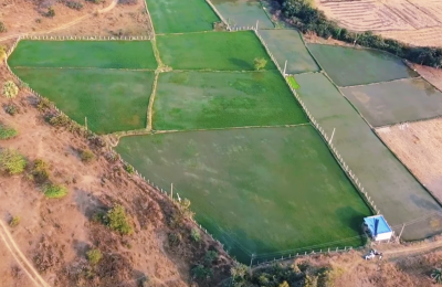 2 acres 25 guntas land for sale Near siddipet