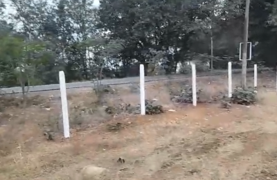 7 acre for sale land Near Vikarabad