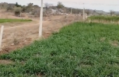 1 Acre land for sale in Amangal Mandal