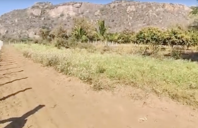 2 Acre mango Garden Agriculture land for sale in kadthal