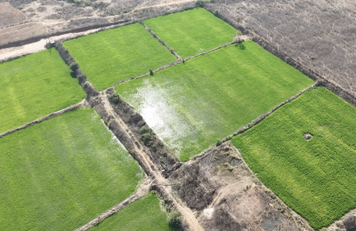 20 acrs Agriculture land for sale in Narmetta