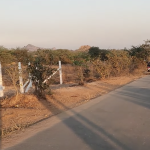 12 Gunras Agriculture Land For sale in Amangal