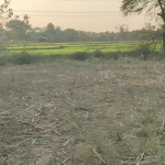 1 Acre 8 Gunta's Land For Sale Talakondapalle