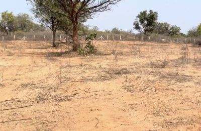 5.20 acres Agriculture land for sale in Jangam District