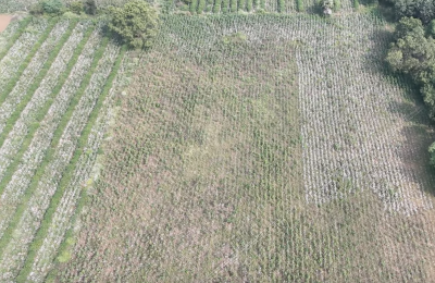 3.5 ACRS AGRICULTURE LAND FOR SALE IN DEVARUPPULA