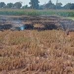 Farm land for sale Gajwel Mandal