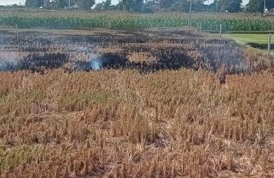 Farm land for sale Gajwel Mandal