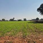 Agriculture Lands for Sale in Nangunoor