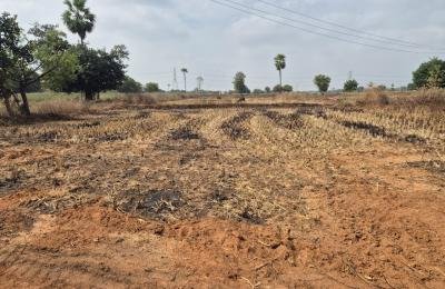 Agriculture Lands for Sale in Chinna Kodur