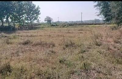 Agriculture Lands for Sale in Nangunoor