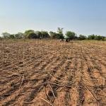 1 Acre Gunta Land For Sale in Raghavapur