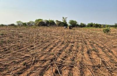 1 Acre Gunta Land For Sale in Raghavapur