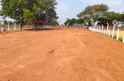 LAND FOR SALE IN MIRDODDI