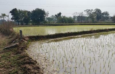 20 Guntas land for sale