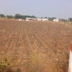 7 Guntas  land for sale