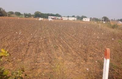 7 Guntas  land for sale