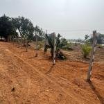 10 Guntas land for sale