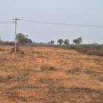 2 Acre's 4 Guntas Land For Sale