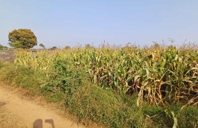 30 Guntas Land for sale