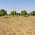 2 Acre's 20 Guntas Land For Sale