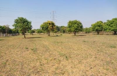 2 Acre's 20 Guntas Land For Sale