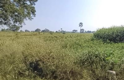 1.34 Acres Land For Sale