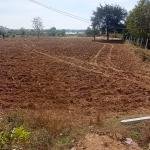 9 Guntas land for sale  in Wargal