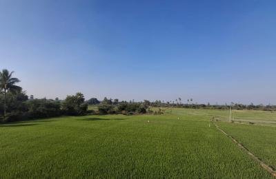 2 Acre's 5 Guntas Land For Sale in Jangaon District