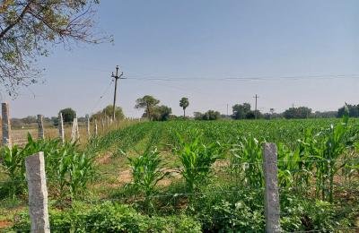1 acre 30 guntas land for sale at Siddipet district