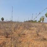 1.20 Acres land for sale in Siddipet District