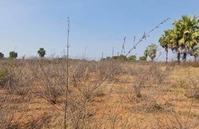 1.20 Acres land for sale in Siddipet District