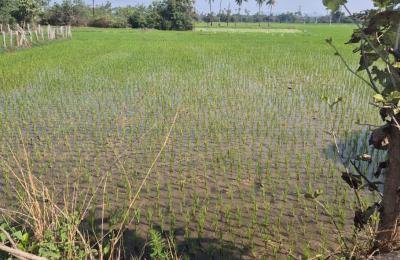 10 Guntas Land For Sale in Siddipet District