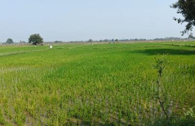 2.12 Acres land for sale in Siricilla District