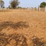 12 GUNTAS LAND FOR SALE IN GAJWEL