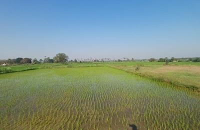 2 Acres land for sale_Nangunur