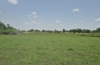34 Guntas Land For Sale