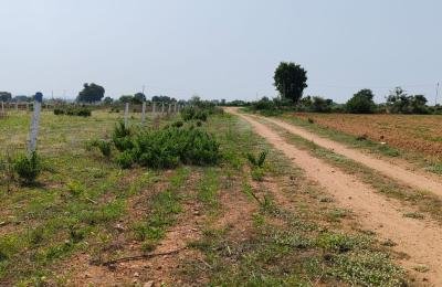 22 Guntas land for sale