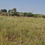 1 Acre 6 Guntas Land For Sale