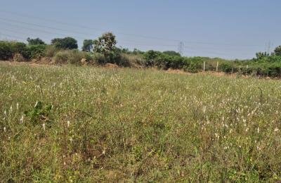 1 Acre 6 Guntas Land For Sale